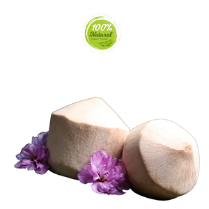Solución nutricional de productos agrícolas de coco de diamante para entusiastas de la salud - Product Image 3