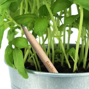Penna Ecologica Piantabile per Germogli - Penna Promozionale per un Mondo Più Verde - Product Image 2