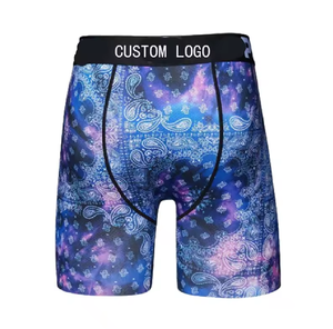 Venta al por mayor de verano Casual Ecológico Hombres Calzoncillos Ropa interior Poliéster Sublimación Boxer en blanco para hombres Tanga - Product Image 4