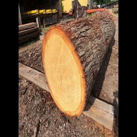 Bois de bûche de chêne blanc Qualité supérieure Meilleure apparence Achetez directement du fabricant Prix négociable Options de gros