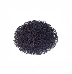 Best Quality Supply Canola Seeds 100% Natural Organic Canola Seeds Grain for Sale