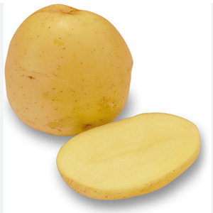 Patatas frescas orgánicas de alta calidad con sabor dulce a la venta Patatas frescas grandes en stock disponibles para entrega rápida al mejor precio - Product Image 5
