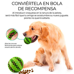 Juguete Interactivo Ecológico de Plástico TPR para Mascotas, Pelotas de Lujo de 5 cm para Perros y Gatos, Comedero Sostenible para Gatos para Jugar - Product Image 1