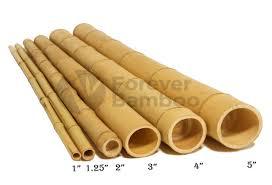 เสาไม้ไผ่จากเวียดนาม/MS Laura - Product Image 4