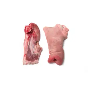 لحم الخنزير Snout المجمدة أفضل الأسعار