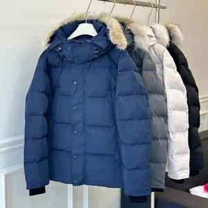 OEM Factory Prices Women's Bomber Puffer <b>Coat</b> with Fur Hood Casual <b>Waterproof</b> Breathable Dyed Cotton <b>Winter</b> Jackets - Product Image 2