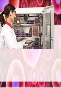 Incubateur CO2 pour la culture cellulaire pour comprendre le principe, type de technologie à chaleur directe et à enveloppe d'eau, contrôle complet de la contamination - Product Image 2