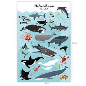 Modern Sea Creatures <b>Poster</b> Stylish Wall Art Featuring Underwater Action Made of Durable Paper - Product Image 4