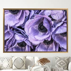 Purple Anemone Wall Art <b>Canvas</b>: Elegant Flower Decor Print,1P:Gold <b>Framed</b> - Product Image 1