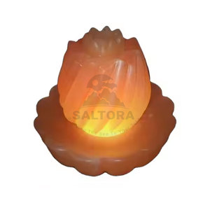 Meilleur fournisseur Lampe au sel de l'Himalaya Lampe au sel en forme de fleur de qualité supérieure Nouvelle arrivée Lampe au sel en forme de fleur - Product Image 1
