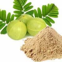Poudre d'extrait d'Amla 100% naturelle, extrait de fruit de feuille de lefard en vrac