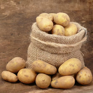 Solanum Tuberosum, Nueva Cosecha, Patatas Frescas Amarillas Orgánicas Brasileñas en Bolsas de Malla con 2 Años de Duración, Disponibles para Exportación - Product Image 1