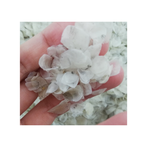 เกล็ดปลาแห้ง/เกล็ดปลานิลสำหรับผลิตคอลลาเจน/เกล็ดปลานิลธรรมชาติ100% ส่งออกจากเวียดนาม - Product Image 2