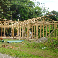 Wholesale Natural Bamboo Timber for Outdoor Leisure Facility Hotel and Home-Building for Your Next Project!