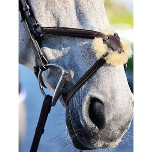 Nuevas Bridas de Cuero Ajustables de Alta Calidad para Equitación y Deportes al Aire Libre 2026 - Product Image 3