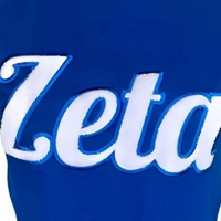 T-shirt personnalisé pour femme, imprimé sérigraphié, respirant, 100 % coton, bleu Zeta Phi Beta Divine Nine, formel, été/hiver, extérieur