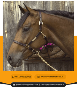 Licou réglable en cuir haut de gamme avec plaque signalétique licou en gros avec plaque signalétique intelligent - Product Image 2