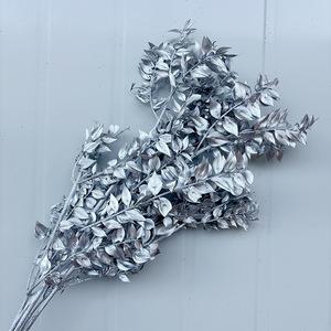 Hojas de <span class=keywords><strong>Eucalipto</strong></span> Secas y Blanqueadas al por Mayor, Tipo Ruscus Italiano, Pequeñas, para Ramos de Boda, Jarrones Decorativos y Decoración de Temporada - Product Image 5