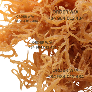 Premium Quality <b>Golden</b> Irish <b>Sea</b> <b>Moss</b> 100% Wildcrafted From Vietnam - Product Image 2