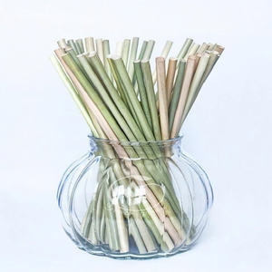 หลอดดูดน้ำจากหญ้าสำหรับบรรจุภัณฑ์เครื่องดื่มเย็นและตลาดบริการอาหาร สินค้าขายดีพร้อมข้อเสนอพิเศษ - Product Image 6