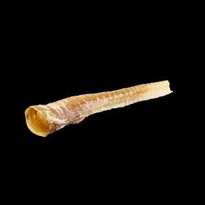 말린 기관 개 씹는 치료 천연 개 간식 고단백질 바삭 바삭한 질감 곡물 무료 씹는 저지방 치료 치과 건강