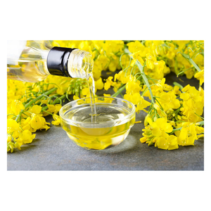 น้ำมันคาโนลาสำหรับผู้นำเข้าทั่วโลก - Product Image 2