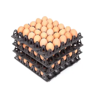 Œufs de poule de table - Product Image 2
