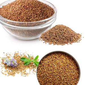 Alfalfa | Opción de alimentación eficiente para mejorar la salud animal - Product Image 1