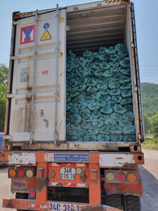 MANGOS DE ESCOBA DE MADERA ECOLÓGICO Y DURADERO/ARTESANÍA SOSTENIBLE/VALOR ASEQUIBLE/HECHO EN VIETNAM - Product Image 3