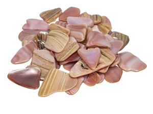 Pezzi di Conchiglia Naturale Lucidati Stile Animale per Artigianato, Frammenti di Conchiglie Naturali per Mosaici in Resina e Creazione di Gioielli - Product Image 1