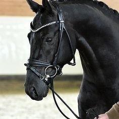 Bride en cuir de cheval noir et marron de haute qualité meilleurs produits de cheval de qualité disponibles pour l'exportation en vrac - Product Image 4