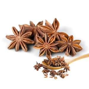 Anís Estrellado de Vietnam, Precio Competitivo Estándar Internacional, Suministro a Granel - Product Image 1