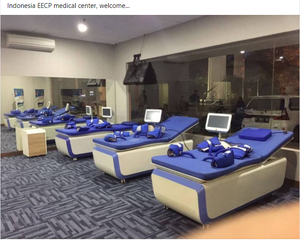 ماكينة EECP/ماكينة قلب و PSK EECP بتوريد المصنع - Product Image 4