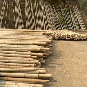 Postes de bambú de tamaño personalizado | Secado carbonizado tratado | Material de construcción estructural | Fábrica de Vietnam - Product Image 6