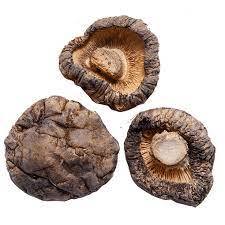 Setas Shiitake deshidratadas de exportación a granel de alta calidad tira al por mayor seta de botón marrón a granel - Product Image 5