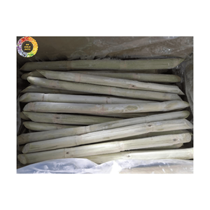 Zumo de caña de azúcar congelado dulce natural para bebidas con suministro a granel de un fabricante vietnamita de confianza - Product Image 1