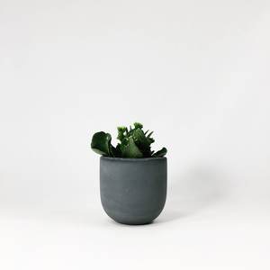 Decoración de jardín, diseño antiguo, maceta de hormigón con recubrimiento en polvo, Color gris para el hogar, jardín, balcón, interior, exterior, decorativo HAQ - Product Image 4