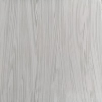 Azulejos de Porcelana Esmaltada Pulida con Sal Nano Soluble, Azulejos Modernos Antideslizantes Tipo Ladrillo Refractario 600x600mm