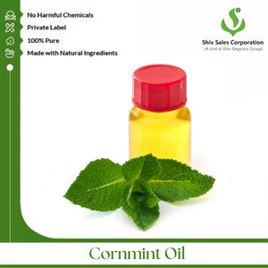 Premium Grade 100% Pure Natural Cornmint <b>Oil</b> Extract HALAL ISO Certified 3-Year Shelf Life for Personal Care Flavor Wellness - Product Image 3