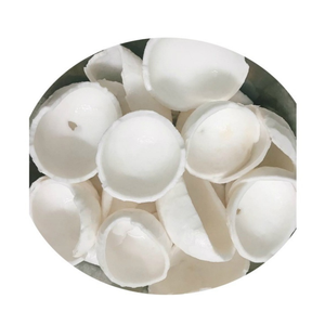 Morceaux de noix de coco congelés de qualité supérieure Noix de coco congelée du Vietnam pelée et tranchée pour une utilisation culinaire et alimentaire - Product Image 6