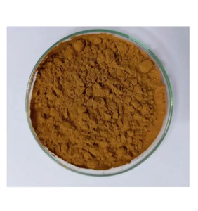 Canela en Polvo a Granel de Marca Privada, Antioxidante Natural, Estimulante del Metabolismo, Suplemento Herbal para Adultos y Mujeres Embarazadas - Product Image 1