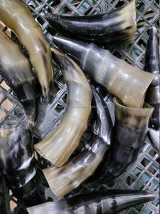 Jarra de cuerno única hecha a mano para amantes de la cerveza y el hidromiel Artesanía natural Técnica pulida - Product Image 2