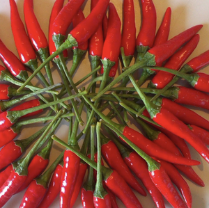 Chiles verdes frescos de primera calidad para Curry y adobos, especias de alta calidad de origen Vietnam - Product Image 3