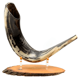 Cuerno de Shofar Pulido de Excelente Calidad al por Mayor, Artesanía Natural de Carnero, Temas Religiosos, Náuticos, Musicales y Animales, Europa, 30-45cm - Product Image 6