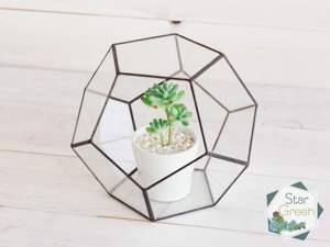 Nouveau terrarium de table moderne et élégant au design unique personnalisable avec verre pour la décoration de la maison et du jardin avec finition noire - Product Image 6