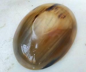 Bol en corne artisanal carré ultra brillant, bol décoratif en corne de buffle, plateau de service pour fruits secs, plateau pour la maison, l'hôtel, la table - Product Image 3