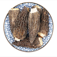 Champignons Morel Naturels Sauvages Biologiques Aliment Sain Champignons Noirs Séchés