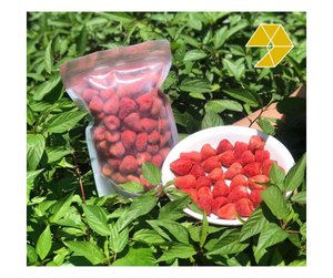 Fresa Liofilizada, Material a Base de Fresa Entera para Hornear, Refrigerios, Coberturas de Yogur, Marca Personalizada, Fresa Dulce Liofilizada de Vietnam - Product Image 1
