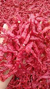 Piments Guntur 100% purs, de haute qualité, séchés à l'air, épices de piment Byadgi certifiées Jas, traitement brut, goût épicé - Product Image 6