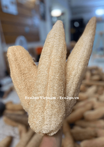 100% Organic Loofah <b>Sponge</b>/ <b>Sponge</b> Loofah/ Loofah Bath <b>Sponge</b> With High Quality and Good Price in Vietnam - Product Image 4